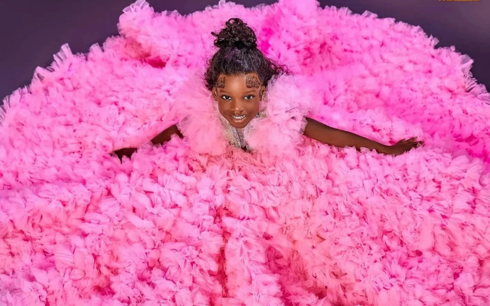 Quality Luxury Flower Girl Dre - đánh giá và giá Toddler Girl Tulle Party Dress