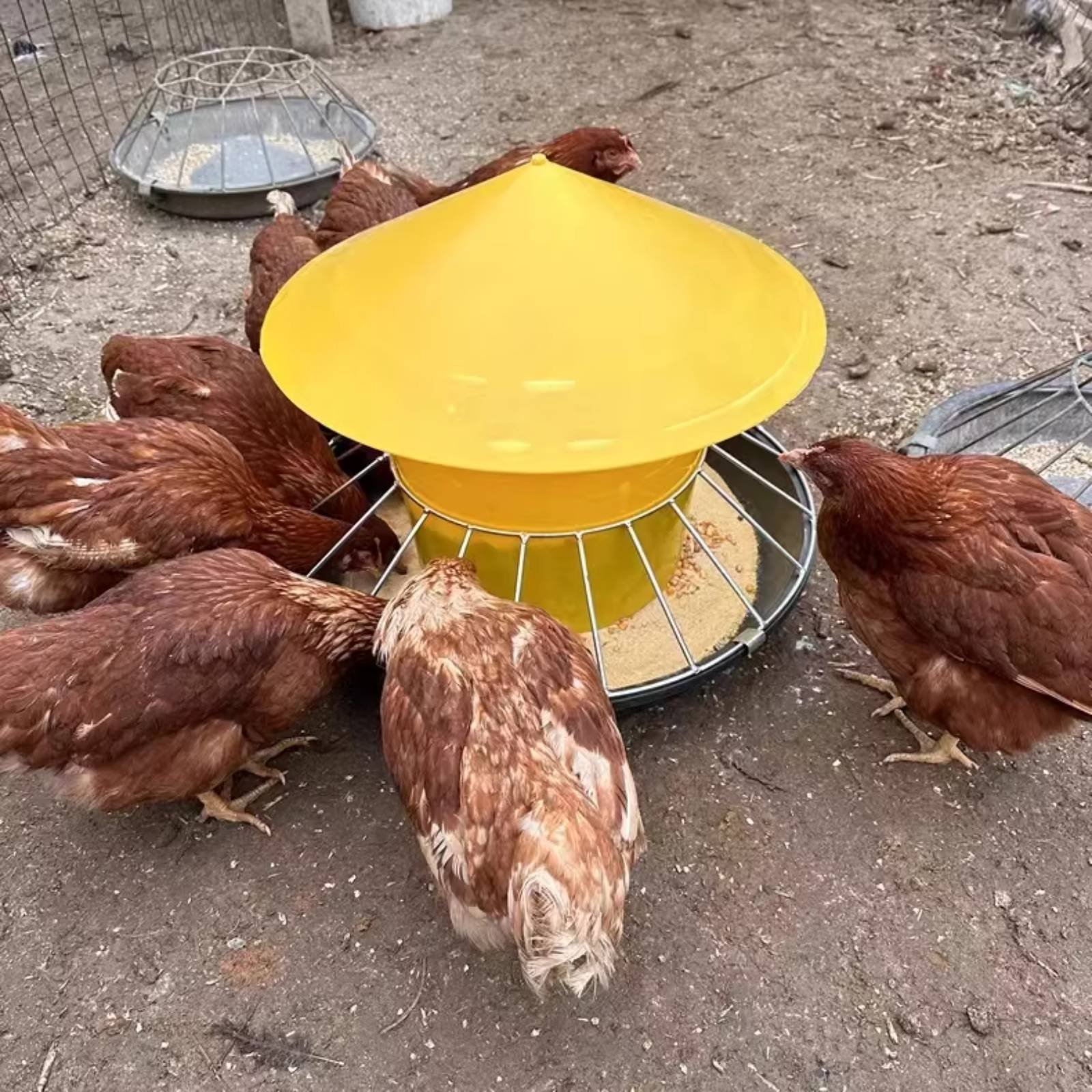 Round Fowl Feeder Large Capaci - đánh giá và giá Feeding