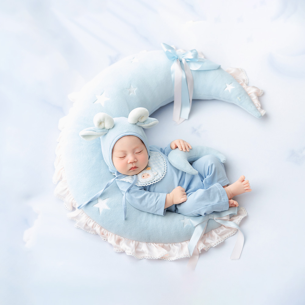 Blue Sheep Newborn Photography - đánh giá và giá Infant Photography Props Outfit