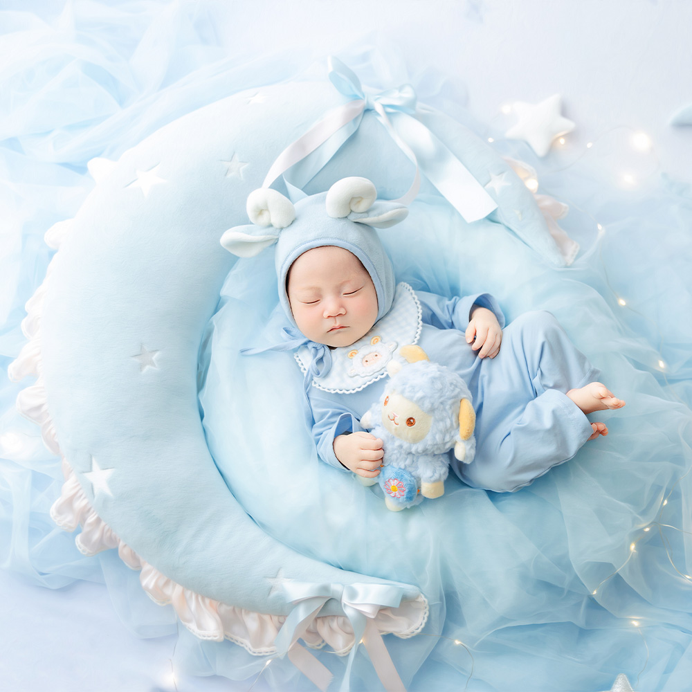 Blue Sheep Newborn Photography - đánh giá và giá Infant Photography Props Outfit