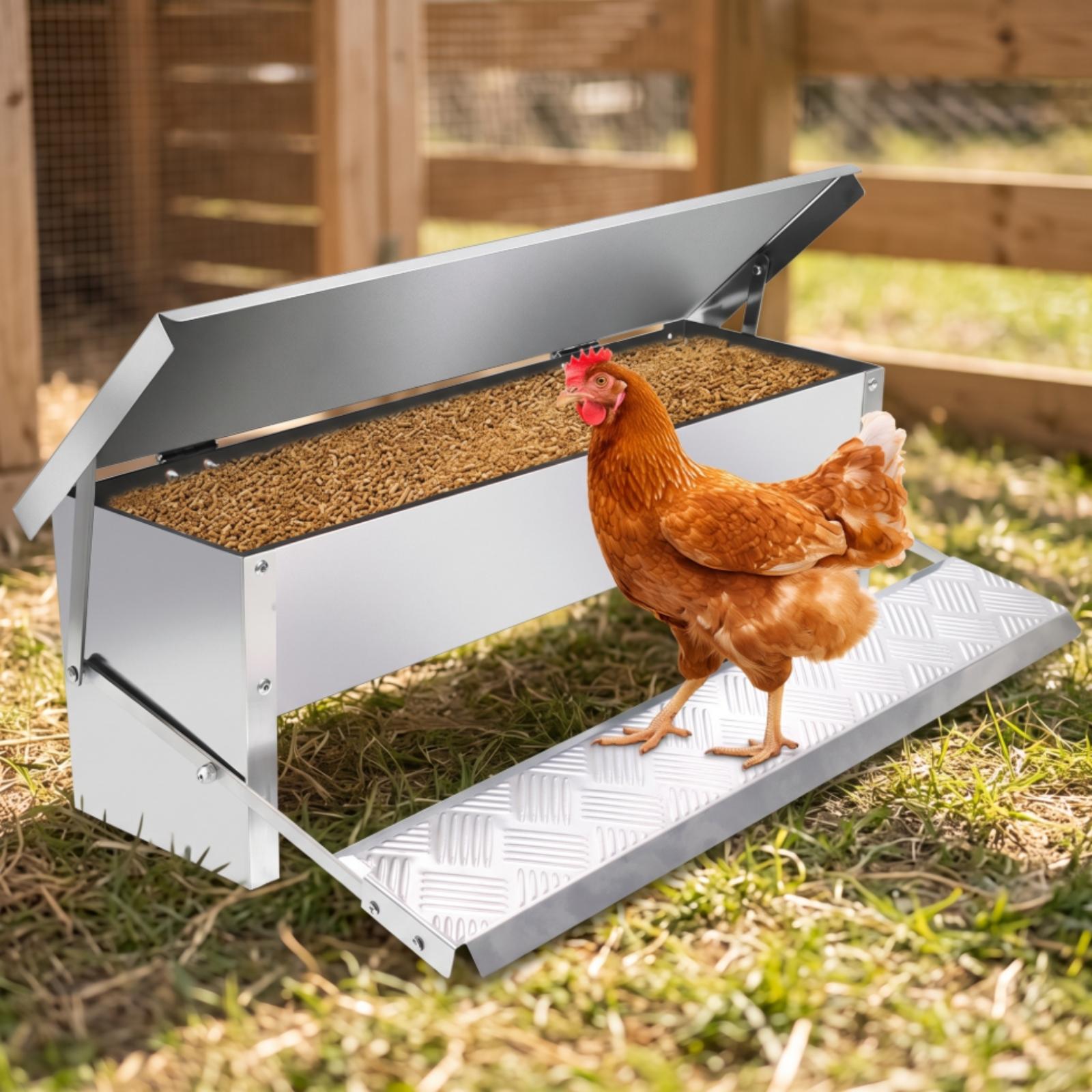 Automatic Poultry Feeder Troug - đánh giá và giá Feeding